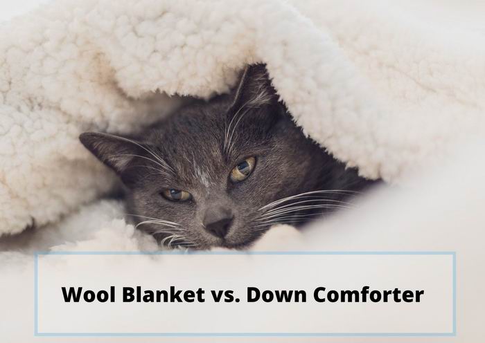 wool blanket vs down comforter